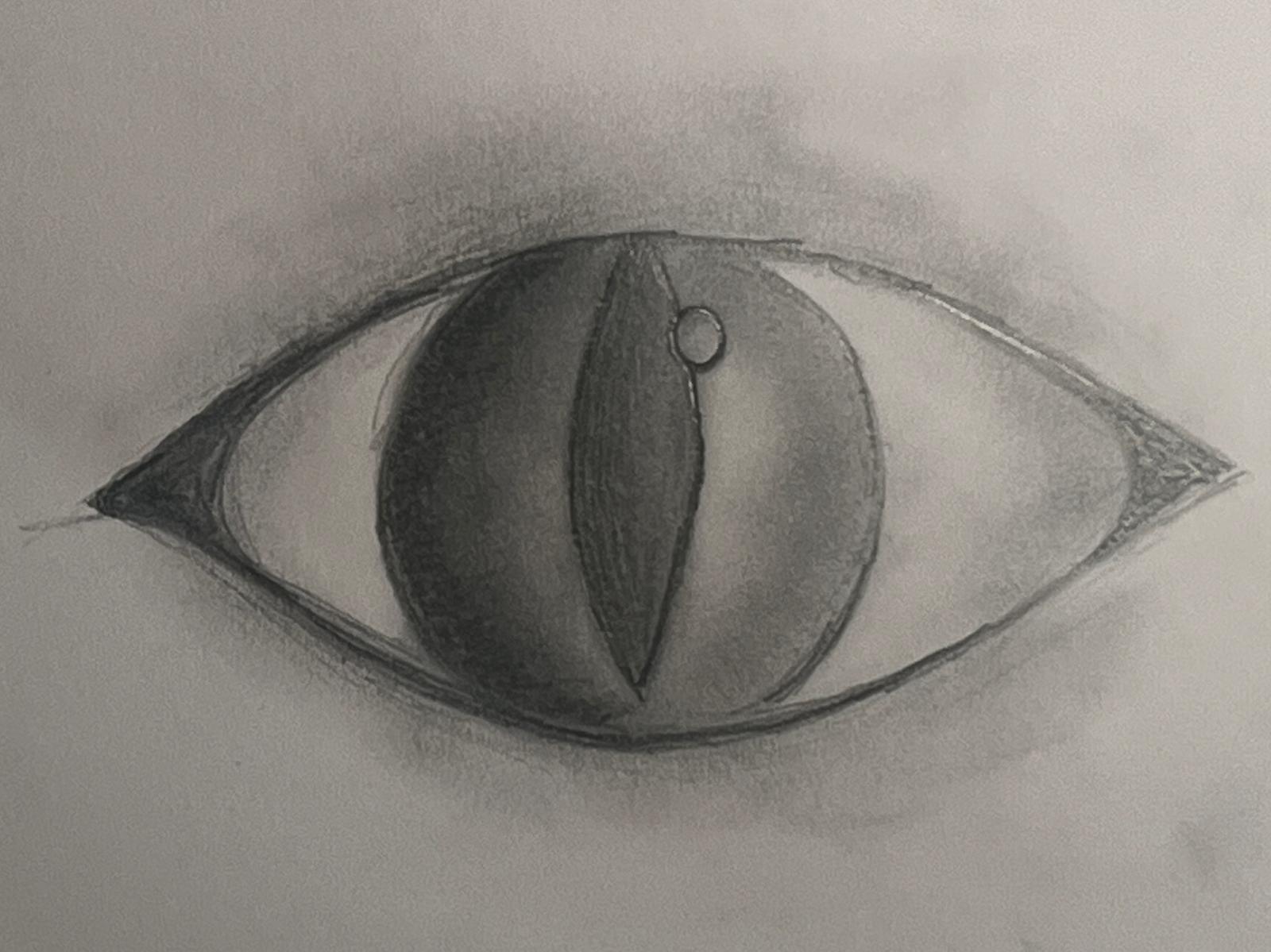 Cat eye drawing