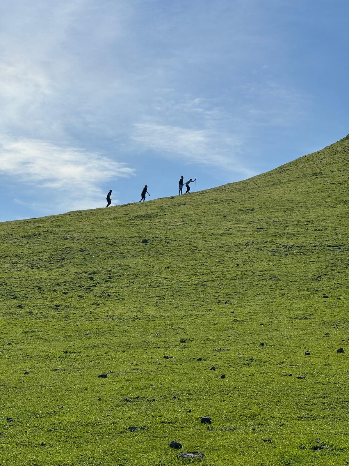 Hillside hikers